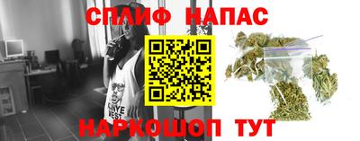 прущие грибы Владимир