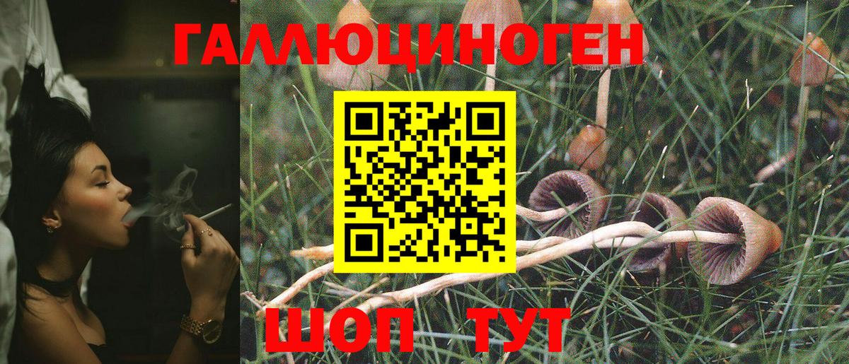 Приморско-Ахтарск  Галлюциногенные грибы MAGIC MUSHROOMS  Псилоцибиновые грибы Psilocybe  Вход с VPN 